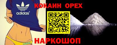 прущие грибы Будённовск