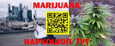 прущие грибы Будённовск