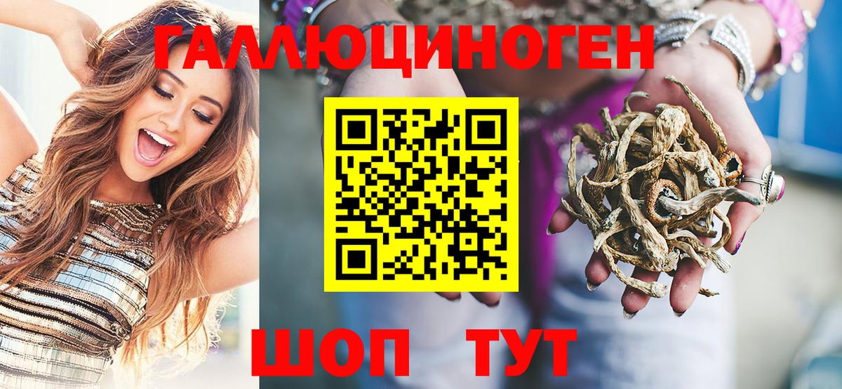 Галлюциногенные грибы GOLDEN TEACHER  Вход с VPN  Котовск 